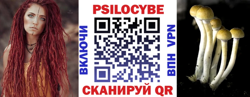 Галлюциногенные грибы Cubensis Черногорск