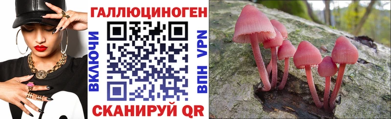 Псилоцибиновые грибы Psilocybe  Черногорск 